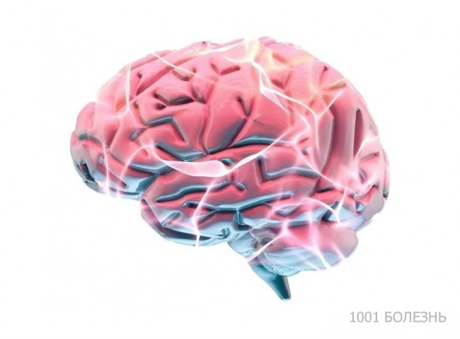 Болезнь Альцгеймера связана с характерными метаболическими признаками кишечника.